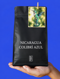 NICARAGUA COLIBRÌ AZUL