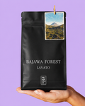 BAJAWA INDONESIA FOREST