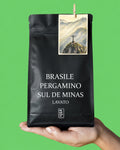 BRASILE PERGAMINO SUL DE MINAS